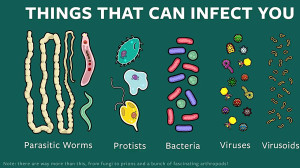 دل بده  مرتضی احمدی