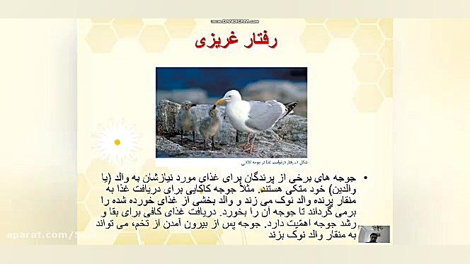 تدریس زیست دوازدهم فصل هشتم گف...