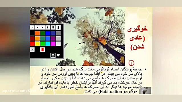 تدریس زیست دوازدهم فصل هشتم گف...