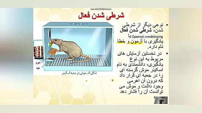 تدریس زیست دوازدهم فصل هشتم گف...