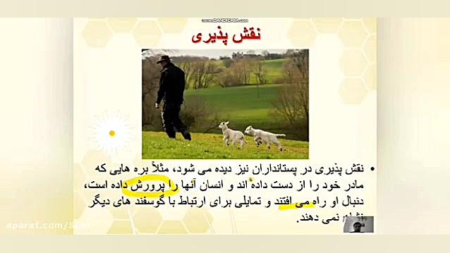 تدریس زیست دوازدهم فصل هشتم گف...