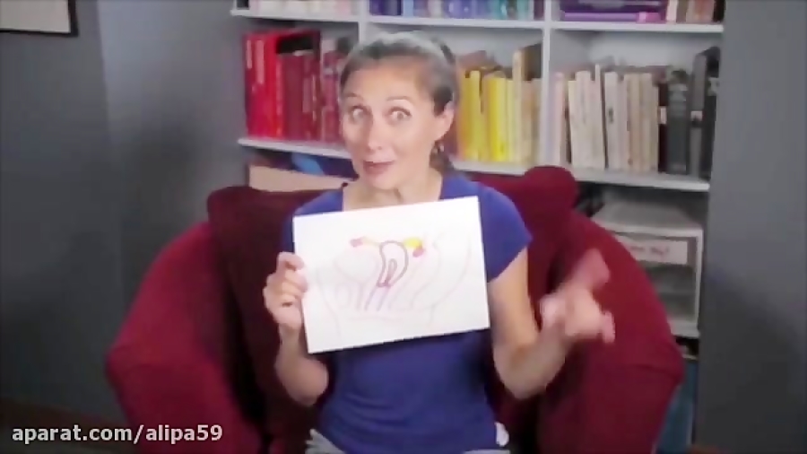 بارداری از راه مقعد آیا امکان...