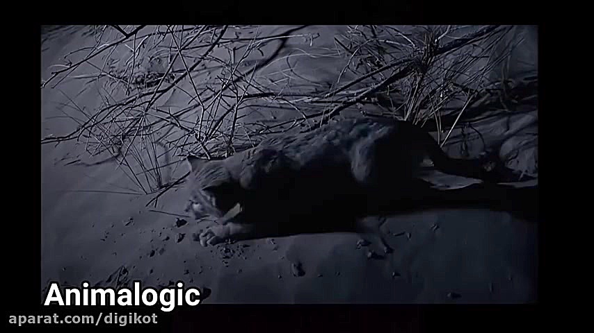 حیوانات به ظاهر جذاب ولی خطرنا...