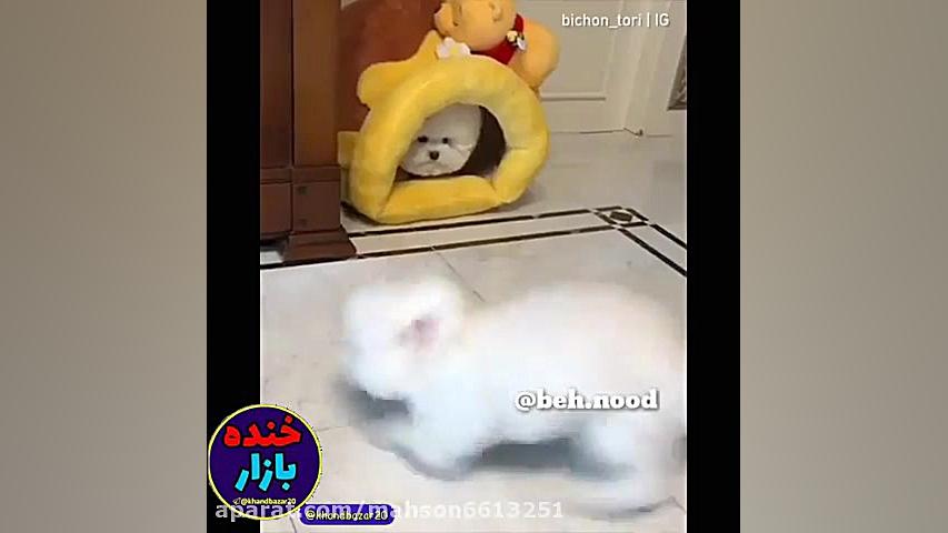 یه دوبله خفن دیگه