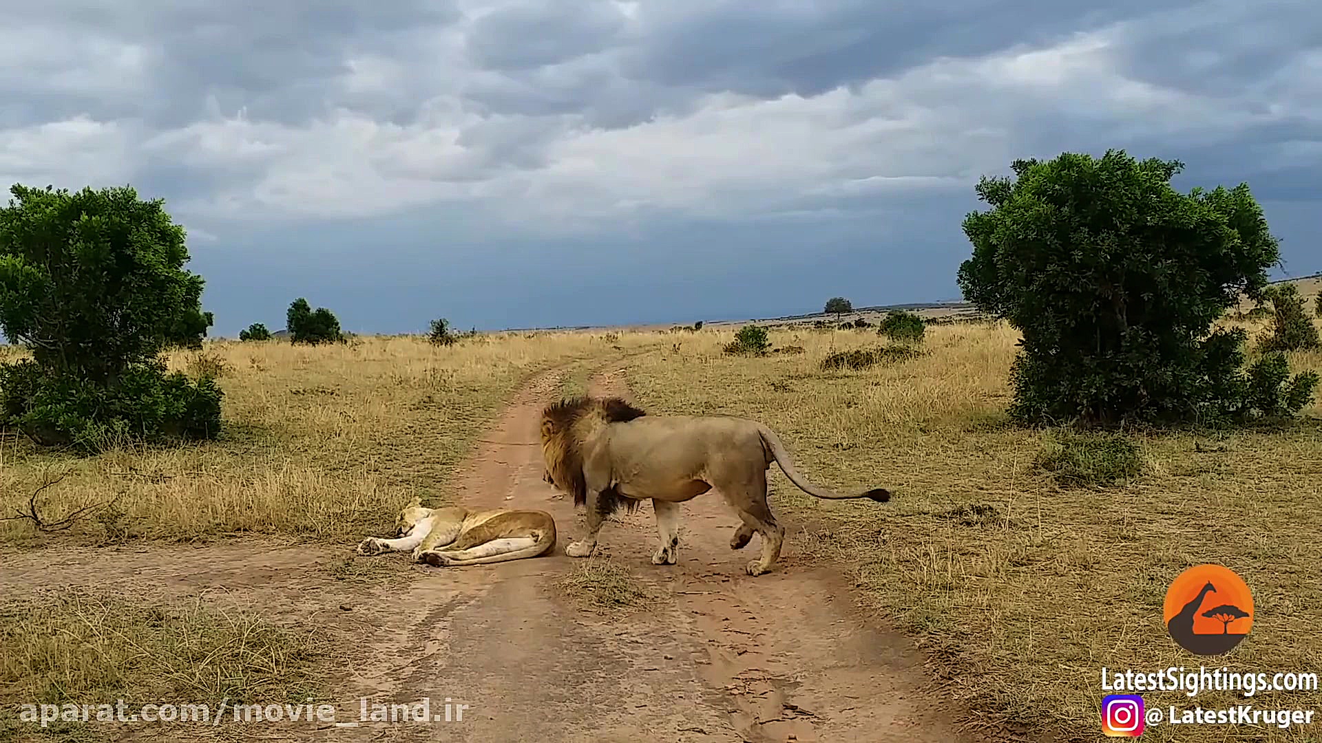 مستند زیبای حیات وحش قسمت (12)