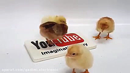 اموزش ساختن دستگاه جوجه کشی با...