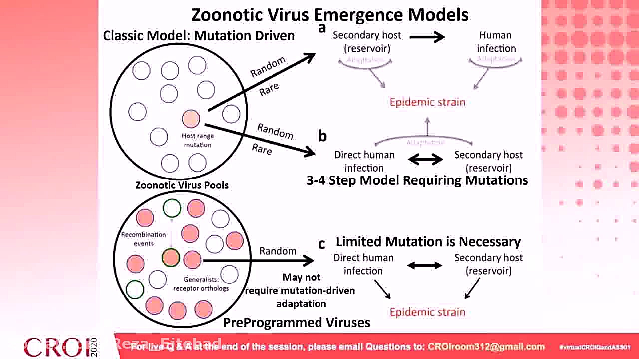 از ویروس‌های کرونا چه میدانیم؟