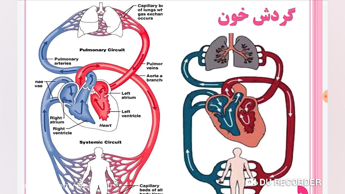 جلسه سوم درس ۱۴ کتاب علوم پایه...