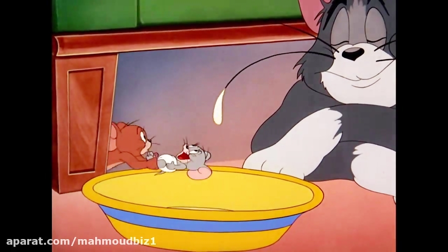 Мышонок джерри. Мышонок джерри gif. Джерри просит есть. Мышонок джерри и таффи. Таффи нибблс.