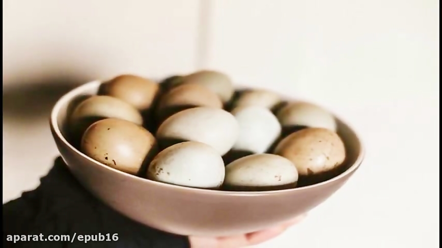 خواص جادویی تخم بلدرچین