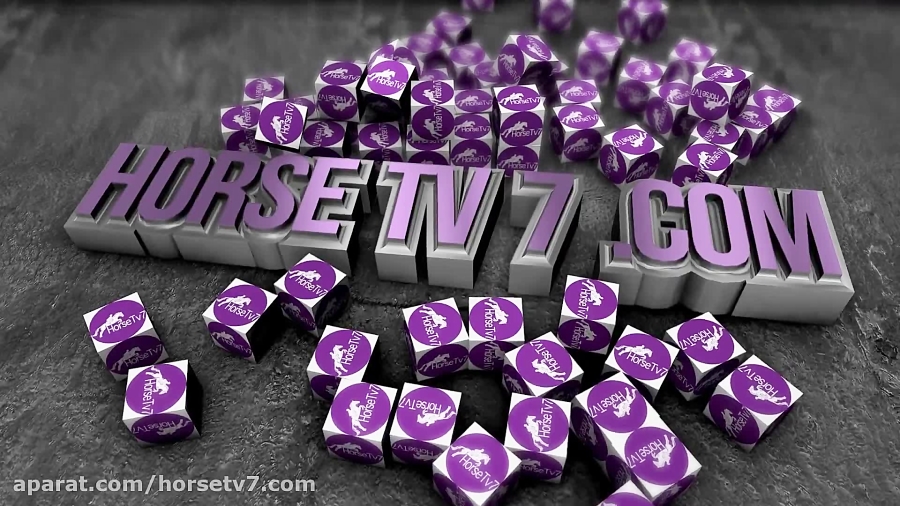 مسابقات سوارکاری ROTTERDAM2019...