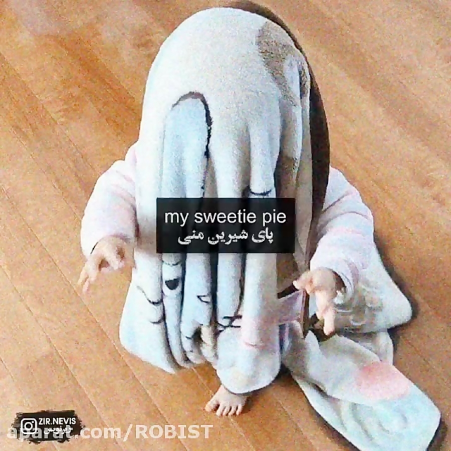 نی نی خوش صدا