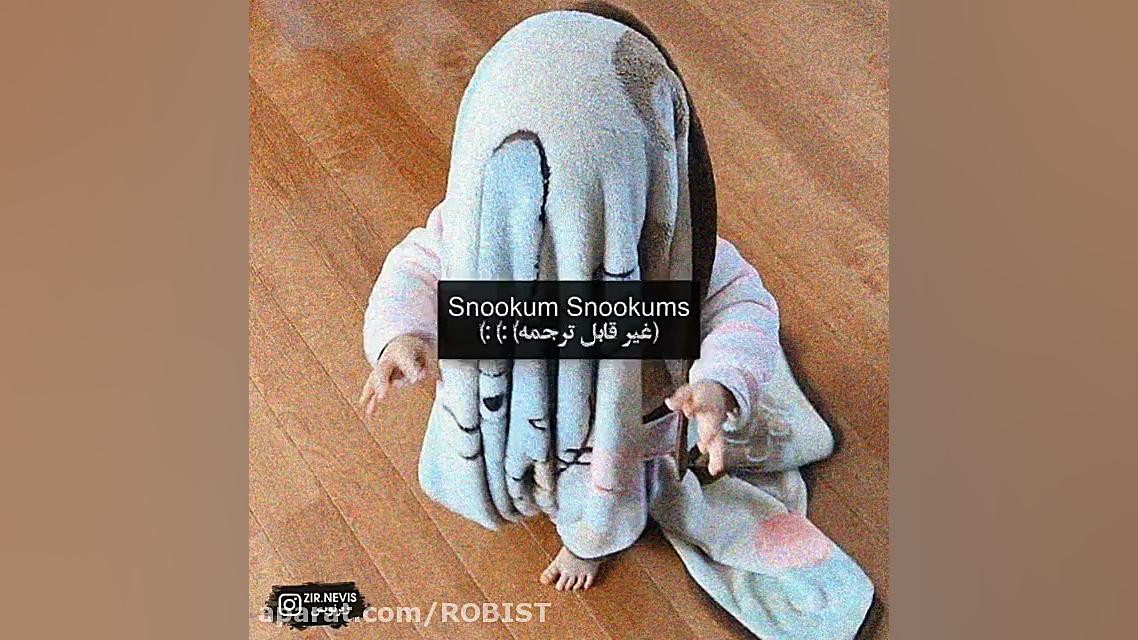 نی نی خوش صدا