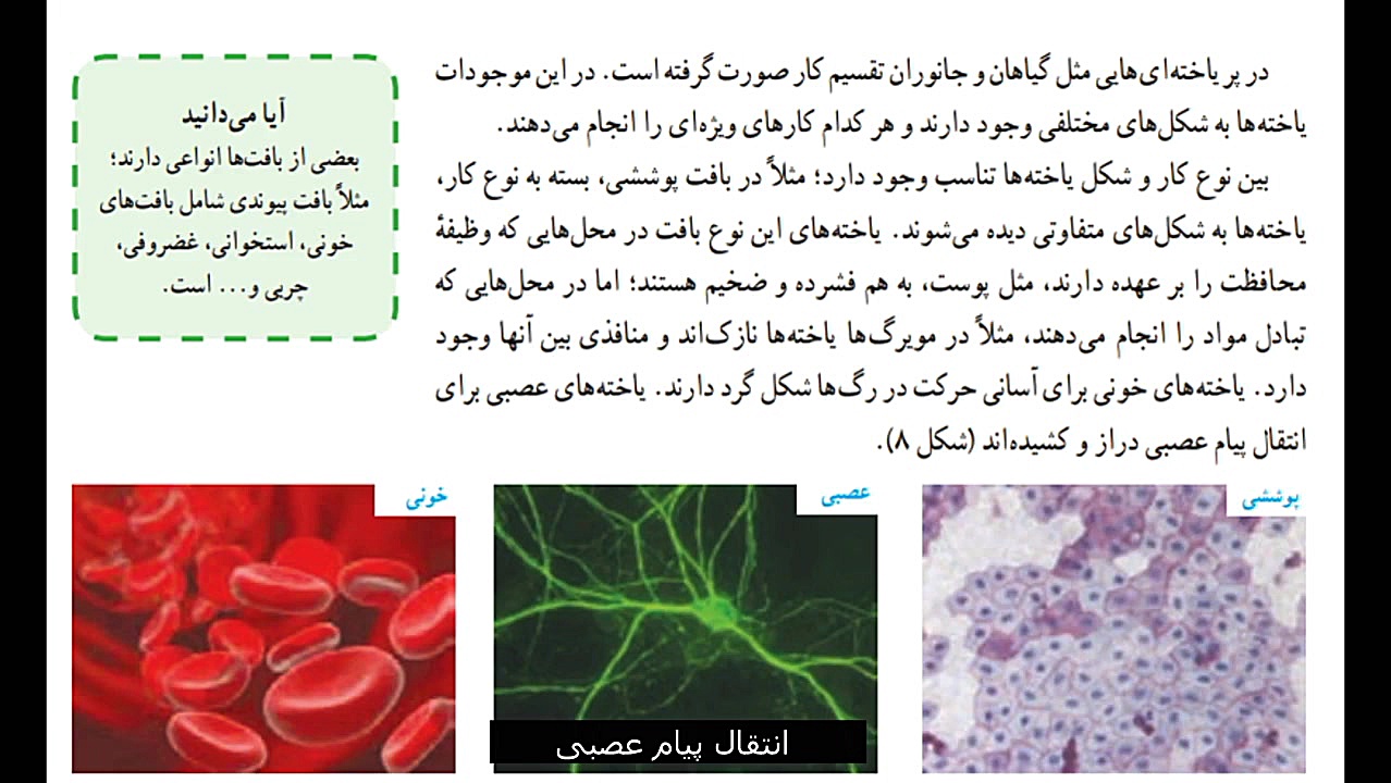علوم هفتم فصل 11 (قسمت 2)