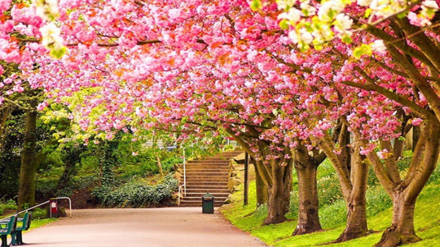 کلیپ عید نوروز | آهنگ شاد عید...