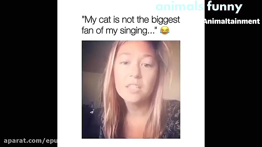 کلیپ سوتی حیوانات خنده دار