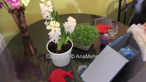 نوروز و چیدن سفره هفت سین