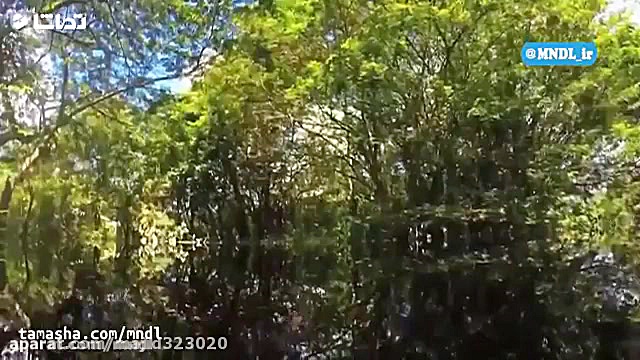 مستند استراتژی حیات تولید