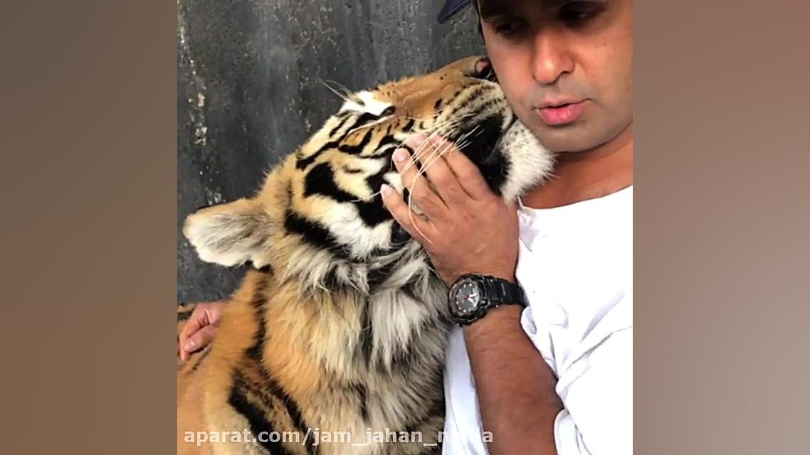 دوست داری جای این باشی؟