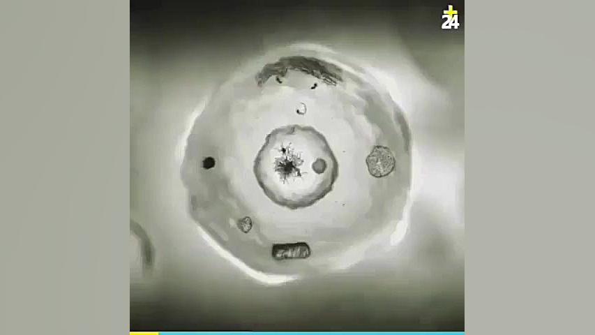 مرگ بر آمریکا جنایتکار