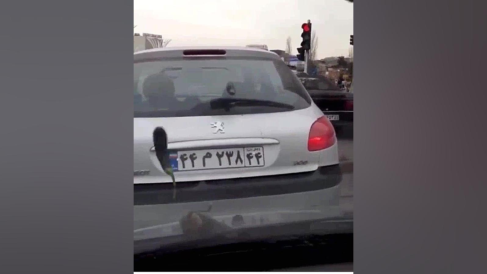 بادمجون ( ۲)