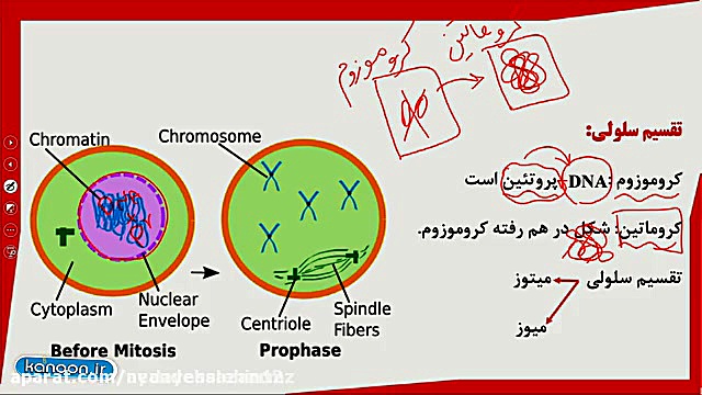 فیلم آموزشی فصل 7 علوم هشتم زی...
