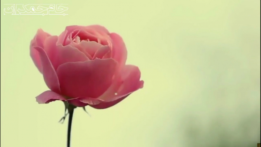 آهنگ خاطره انگیز حبیب محبیان