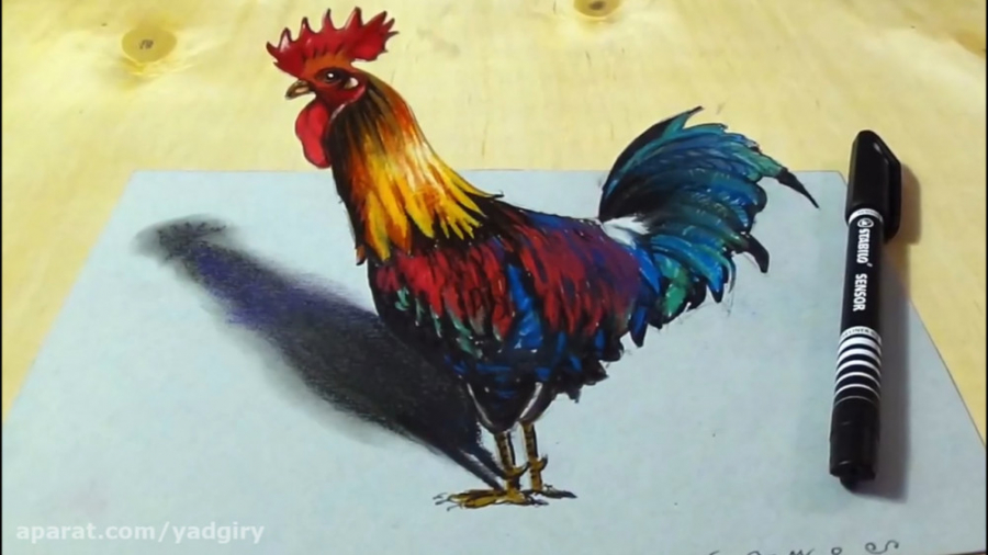 آموزش نقاشی سه بعدی خروس