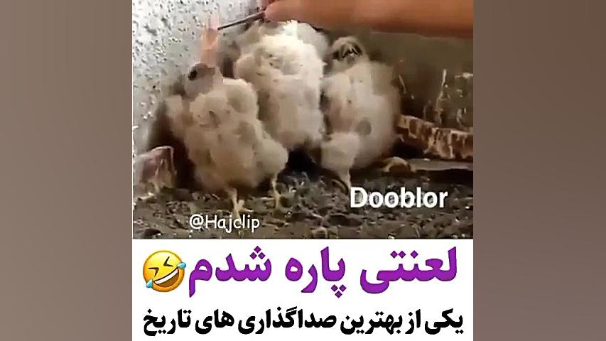 صداگذاری حیوانات ، خیلی خنده د...