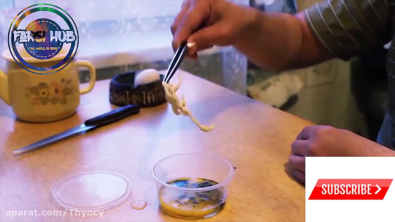 دانستنی ها نتیجه پیوند اسپرم ا...