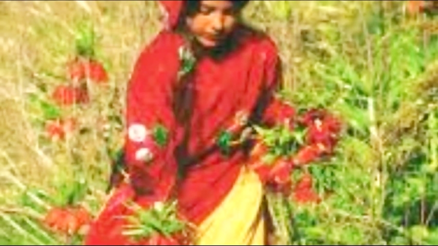 ترانه گل اومد ... میکس لری و ف...