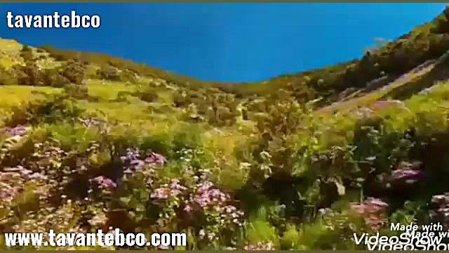 کلیپ تبریک سال نو و عید نوروز