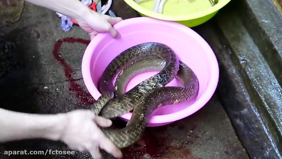 آشپزی | غذای خیابان چینی