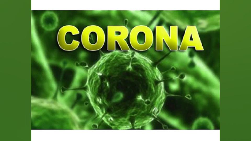 کرونا و بهاره رهنما