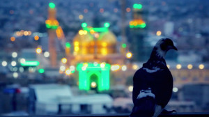 نماهنگ شهادت امام کاظم (ع) | ح...