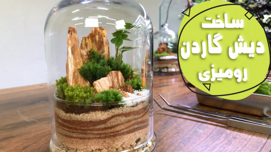 ساخت دیش گاردن روی میزی و تزئی...
