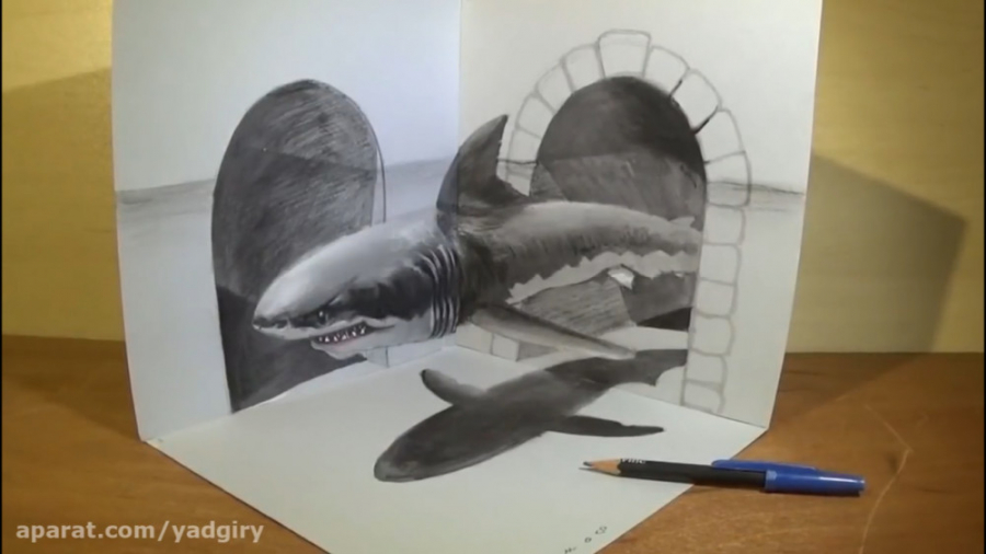 آموزش نقاشی سه بعدی کوسه