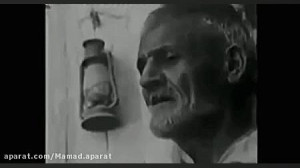 عشق دیوانه