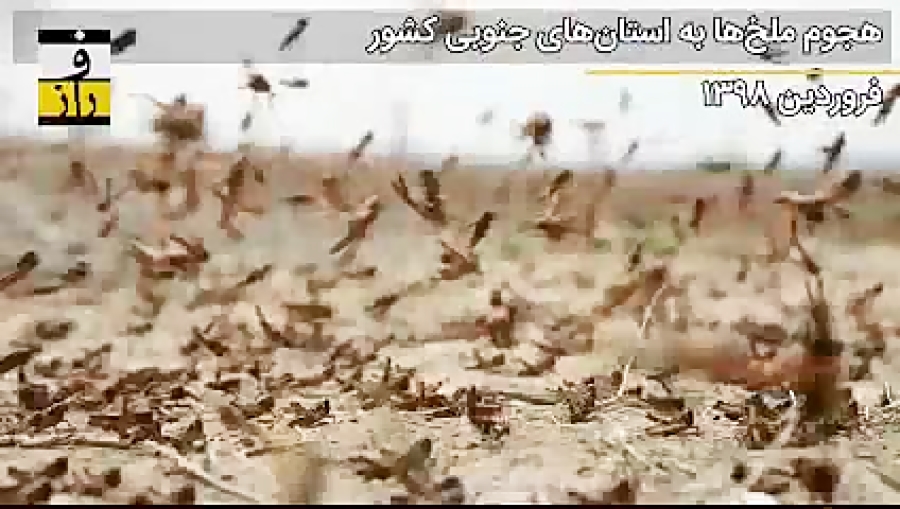 سال 98 در 98 ثانیه