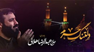شب های دلتنگی |دلتنگ حرم |حاج...