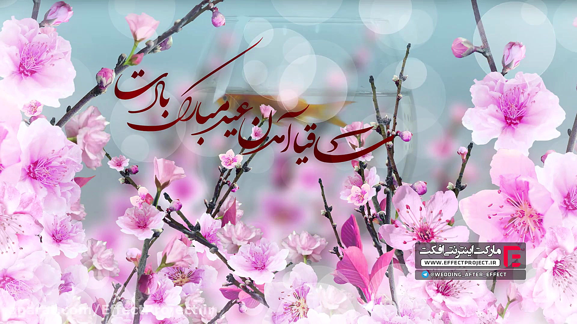 دانلود پروژه آماده افترافکت عی...