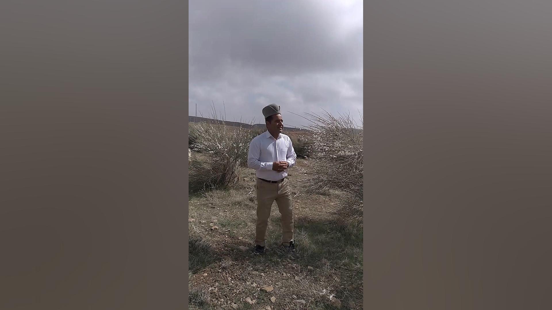 قشقایی هوشنگ طاهری دره شوری با...