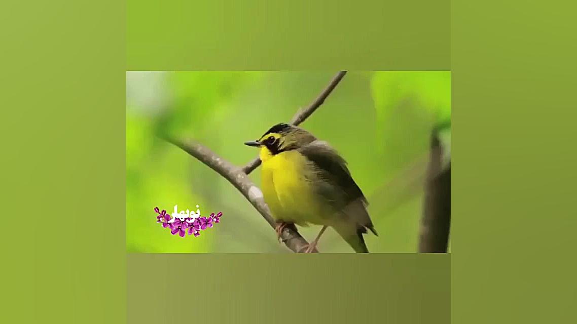 تبریک نوروز 99 ( عید شنیدنی )