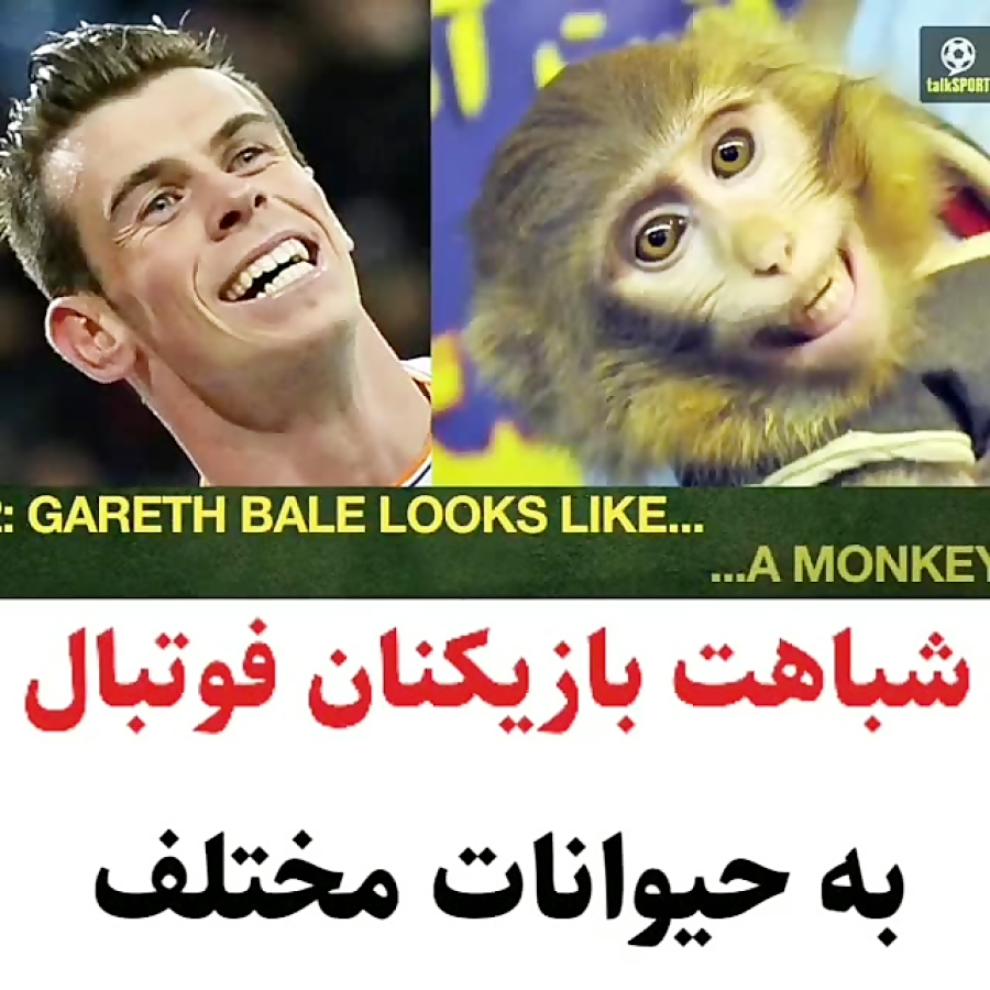 شباهت بازیکنان فوتبال به حیوان...