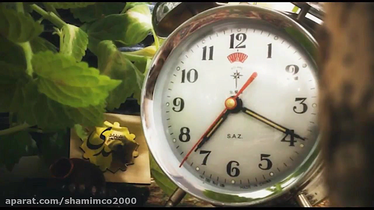 بهار بارونی