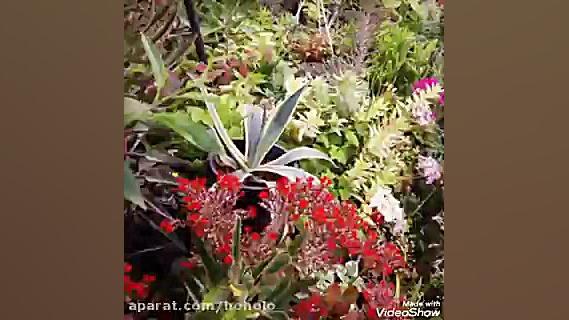 آهنگ رضا بهرام از عشق بگو دلدا...