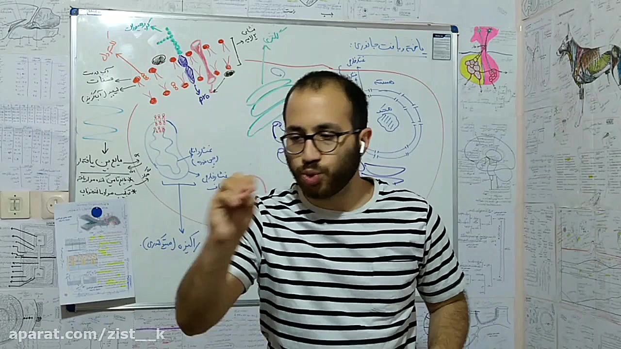 زیست گوارش پارت اول