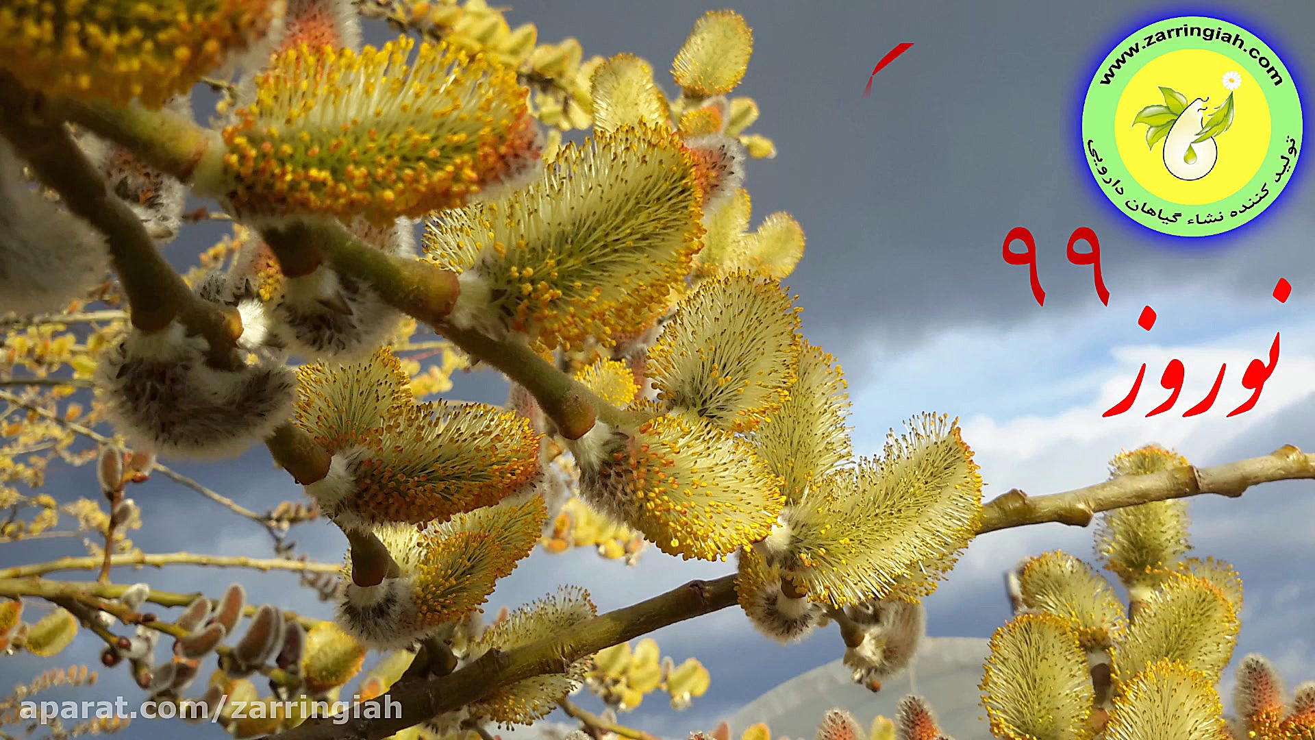 نوروز 99 و سال نو بر شما مبارک