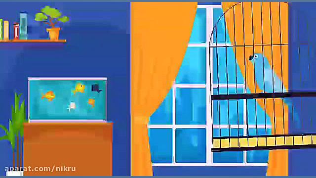 جای حیات وحش، در خانه و سر سفر...