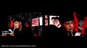 مداحی حضرت زینب س  زینب یعنی.....